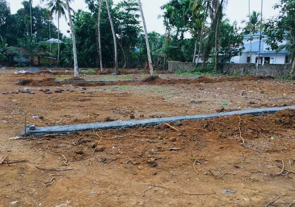 275120432_124760590101372_1161343506370804499_n